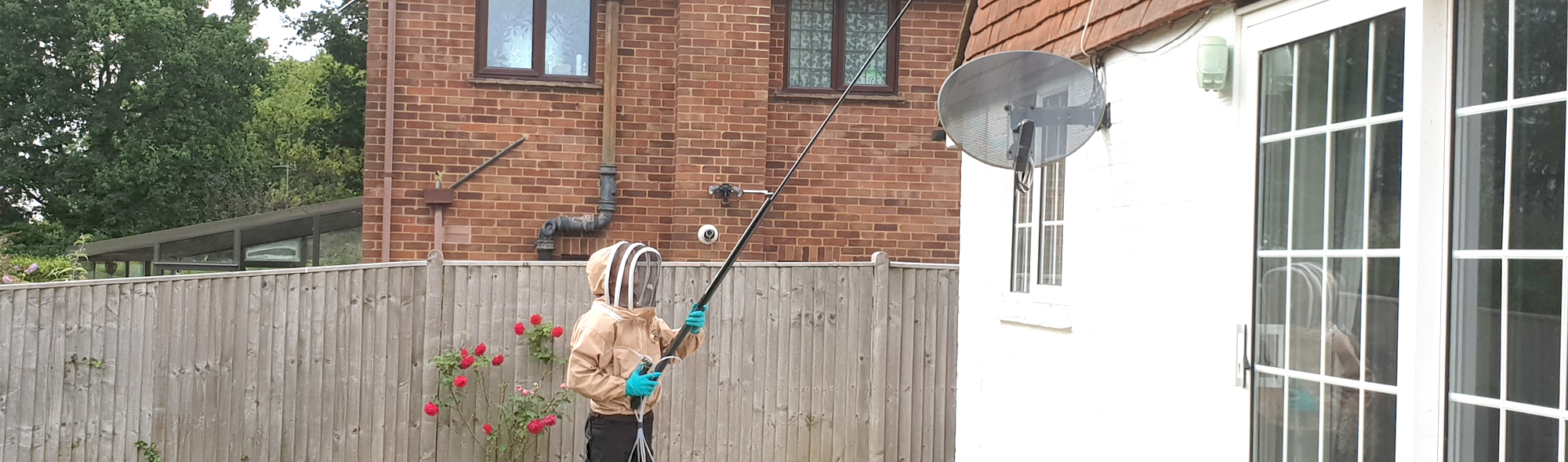 Bee Removal Sussex
